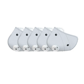 A 5-pack of genuine RZ Mask RZM3 FFP2 Replacement Filters (No Active Carbon) in its retail packaging.