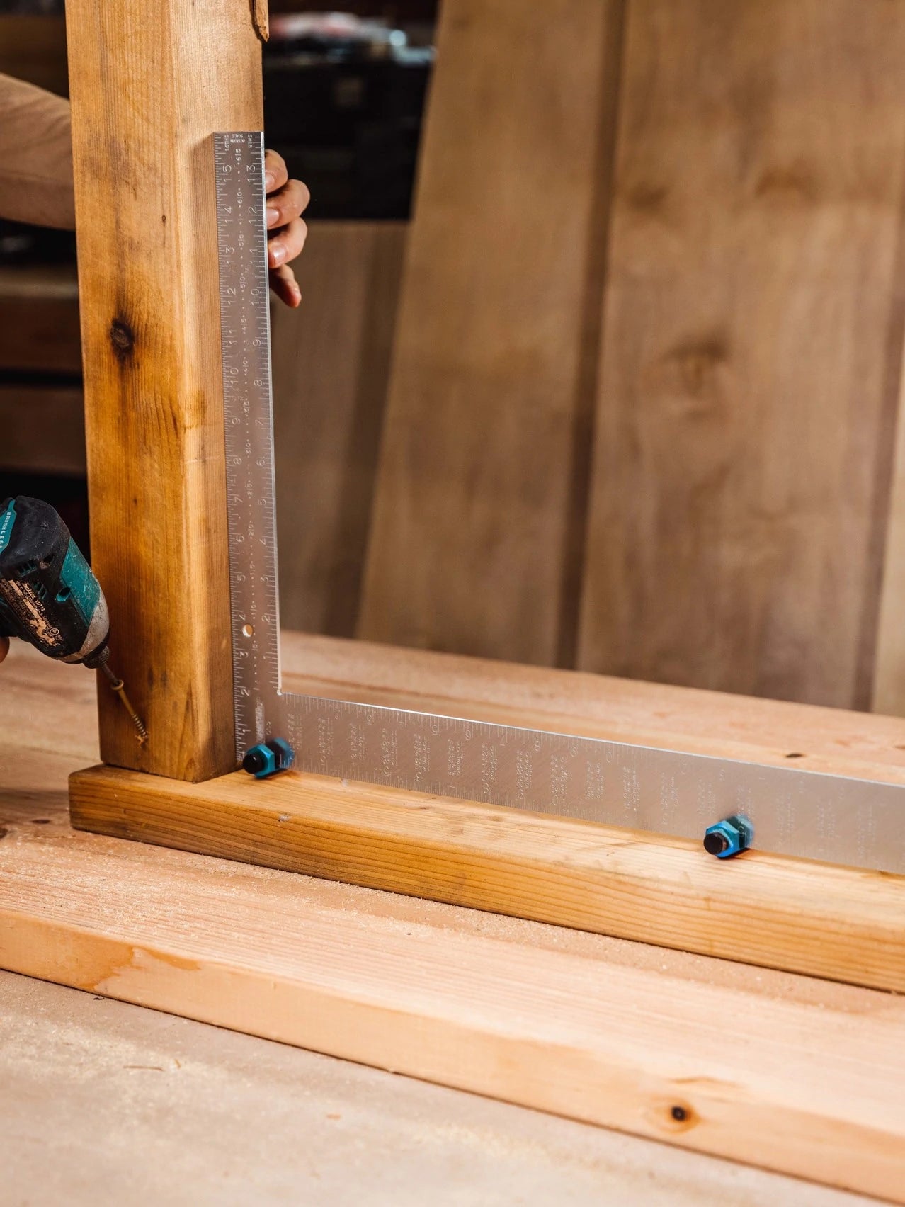 Squi.Jig 1.5” Tall - Plantillas para enmarcar (Azul, Rojo, Naranja, Verde) 